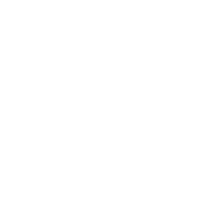 4Prancheta-2_1-min-_2_.webp